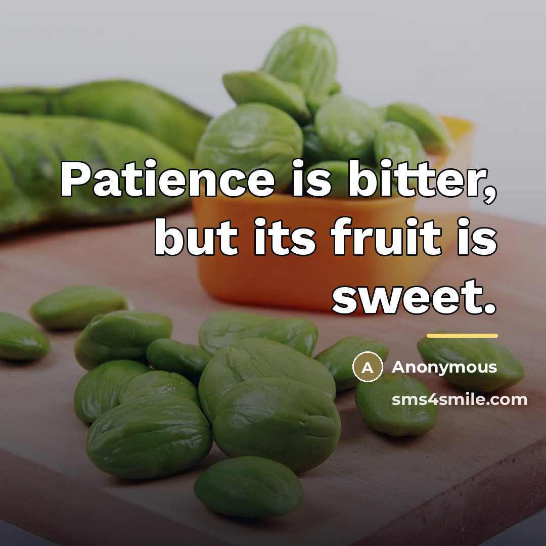 “Patience is bitter, but its fruit is sweet.…” quote by Anonymous