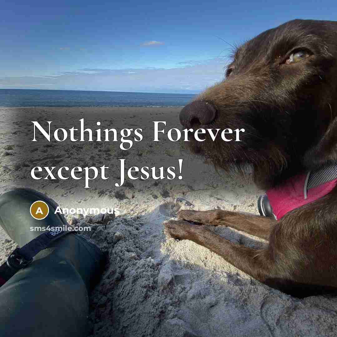 “Nothings Forever except Jesus!” quote by Anonymous