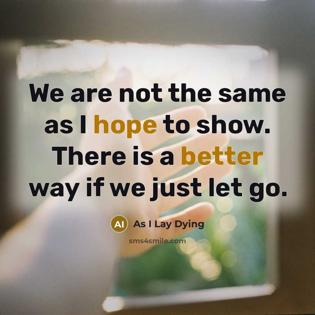“We are not the same as I hope to show. There is a better way if we just let go.” quote by As I Lay Dying