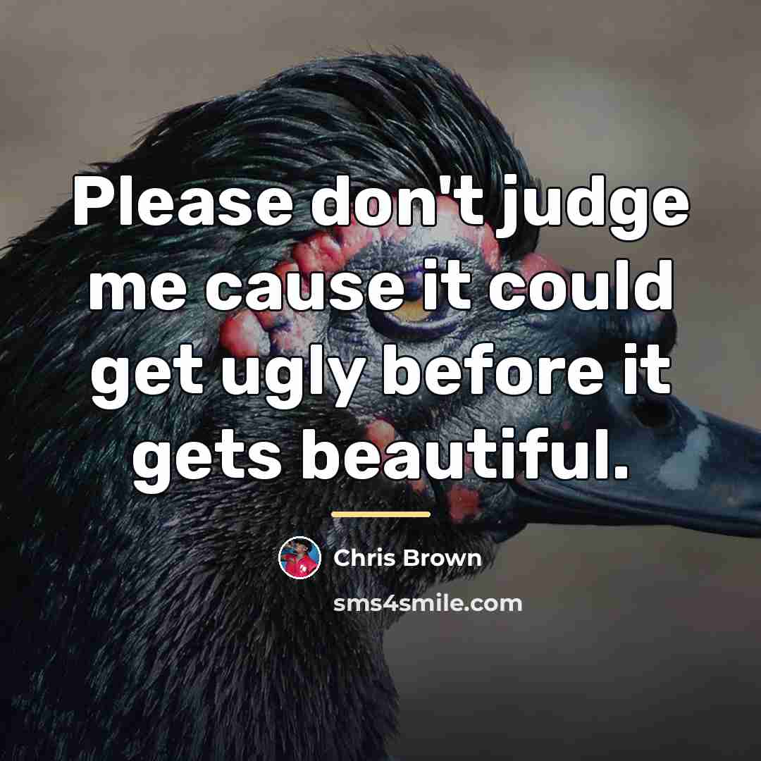 “Please don't judge me cause it could get ugly before…” quote by Chris Brown