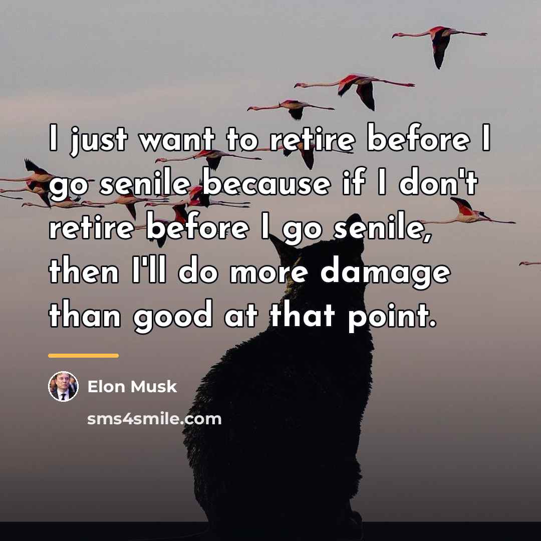“I just want to retire before I go senile because…” quote by Elon Musk