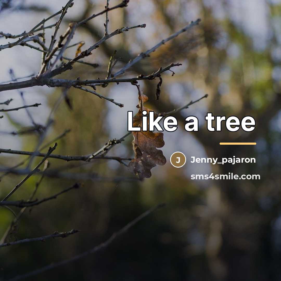 “Like a tree…” quote by Jenny_pajaron