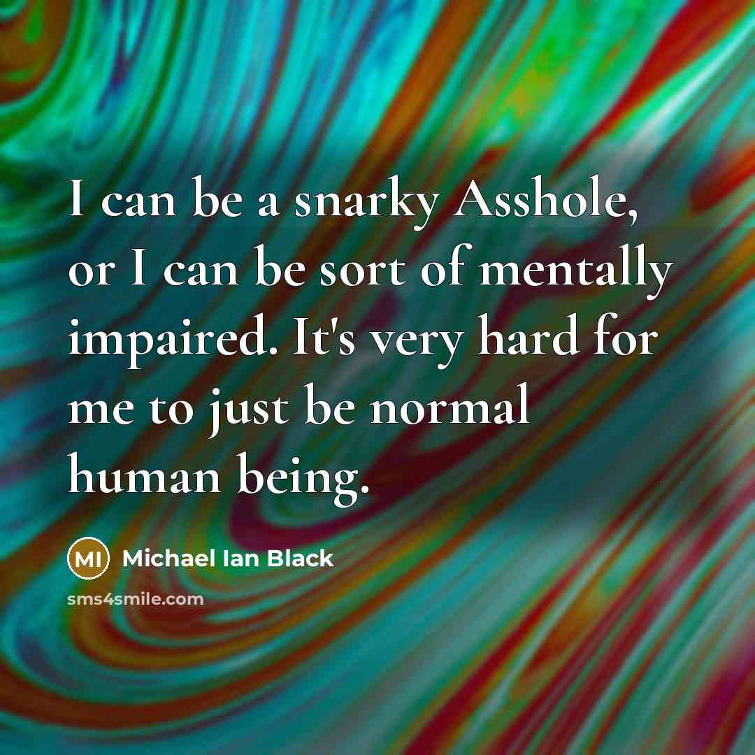 “I can be a snarky Asshole, or I can be…” quote by Michael Ian Black