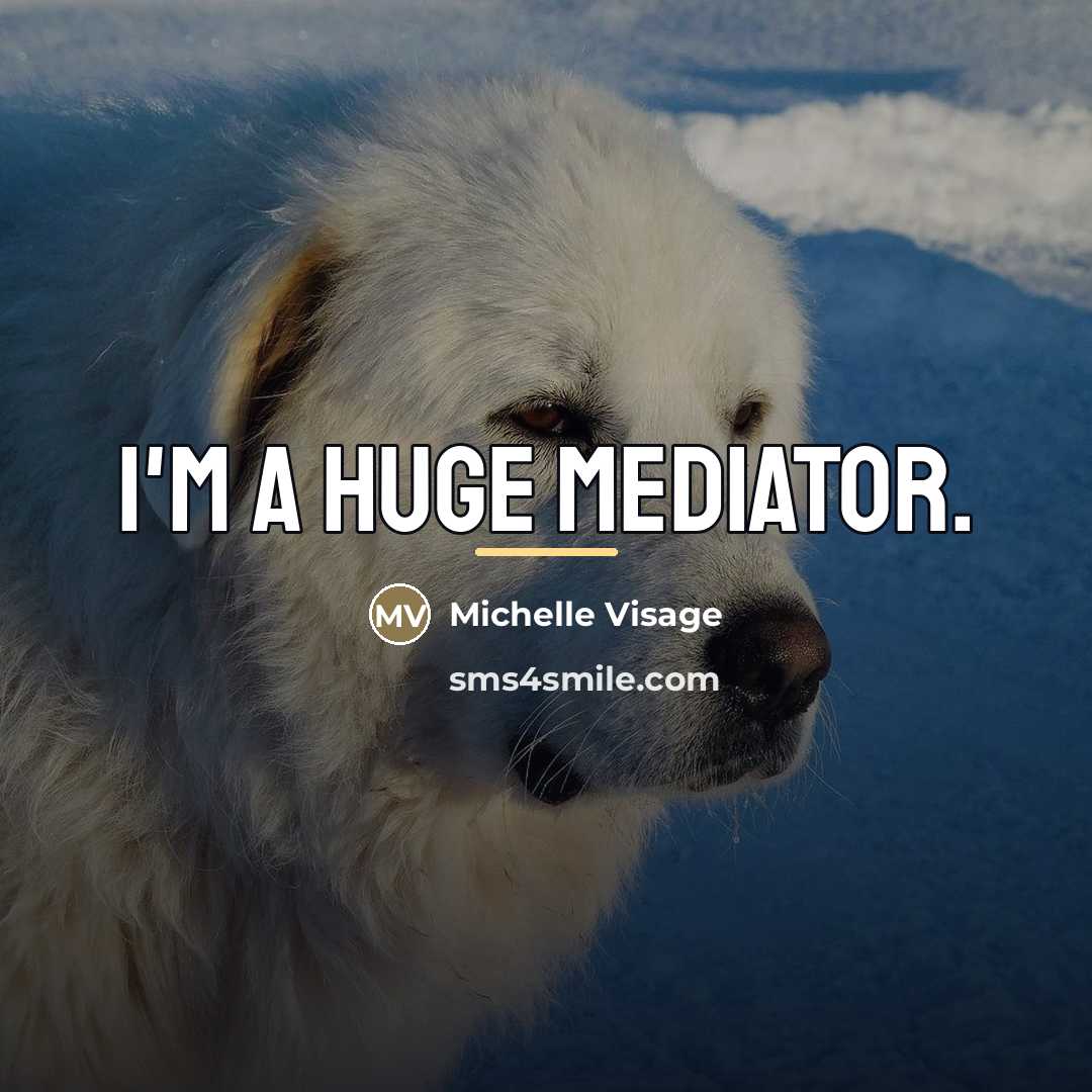 “I'm a huge mediator.…” quote by Michelle Visage