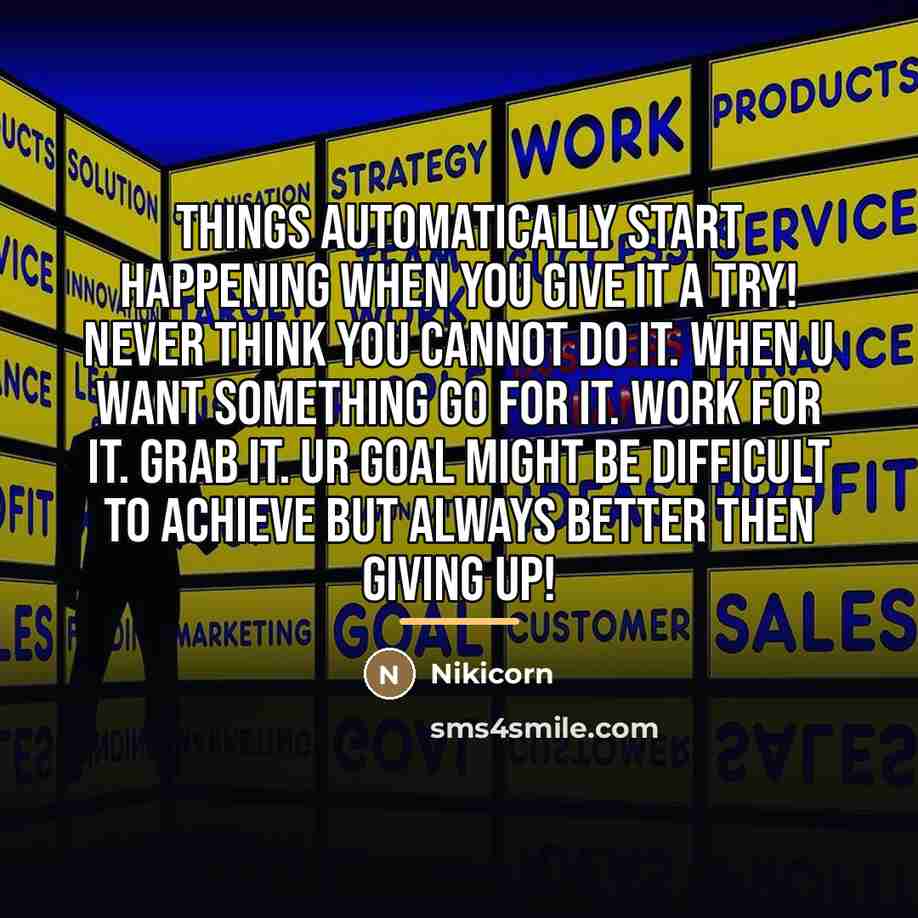 “Things automatically start happening when you give it a try!…” quote by Nikicorn