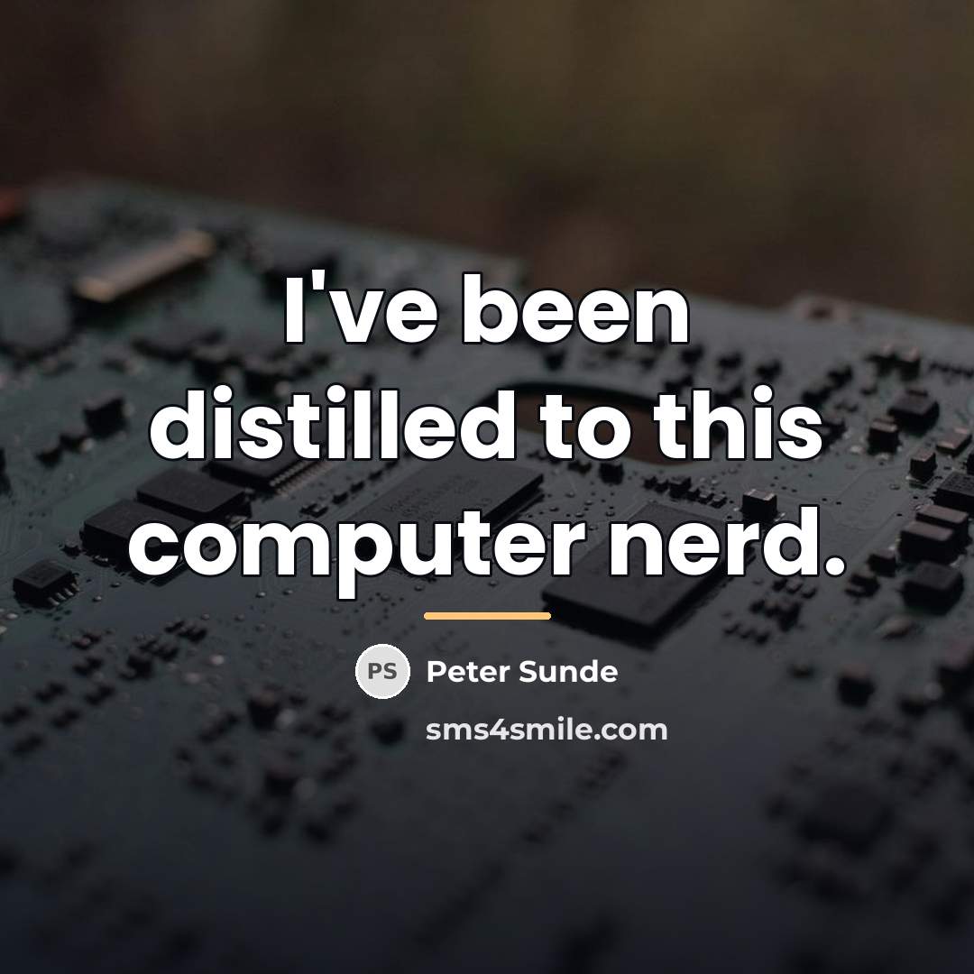 “I've been distilled to this computer nerd.…” quote by Peter Sunde