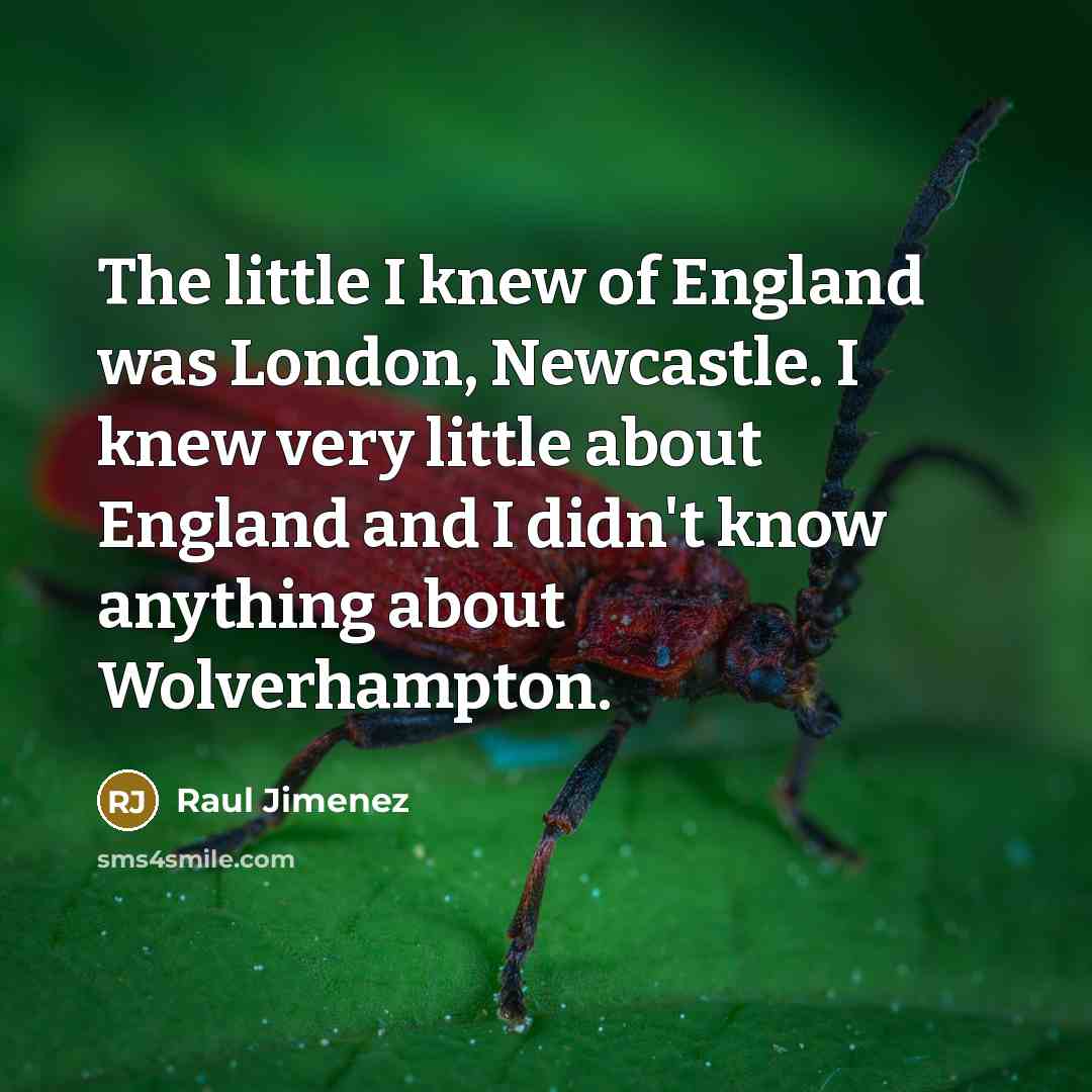 “The little I knew of England was London, Newcastle. I…” quote by Raul Jimenez