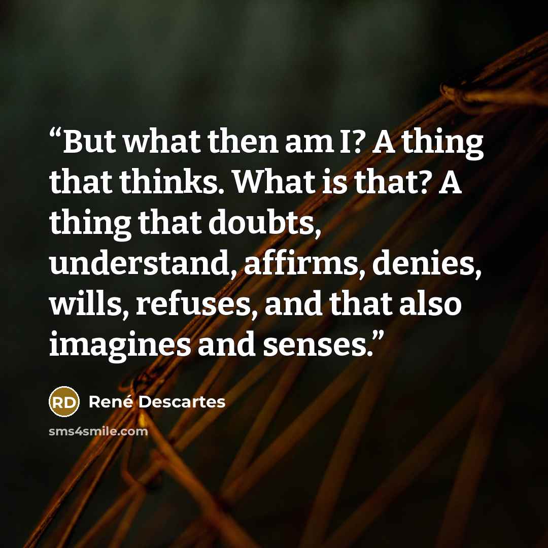 “But what then am I? A thing that thinks. What is that? A thing that doubts, understand, affirms, denies, wills, refuses, and that also imagines and senses.” quote by René Descartes