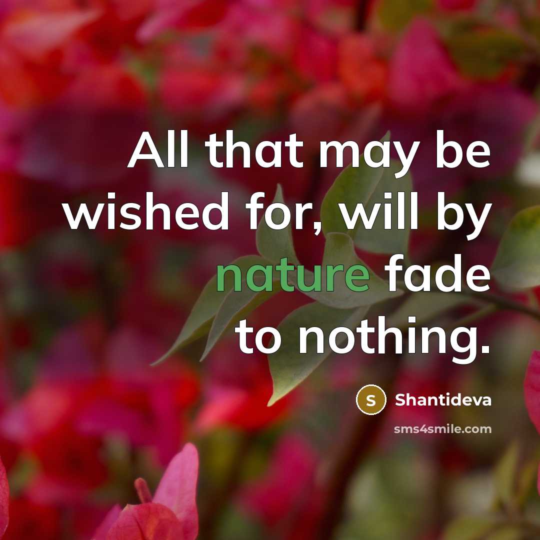 “All that may be wished for, will by nature fade…” quote by Shantideva