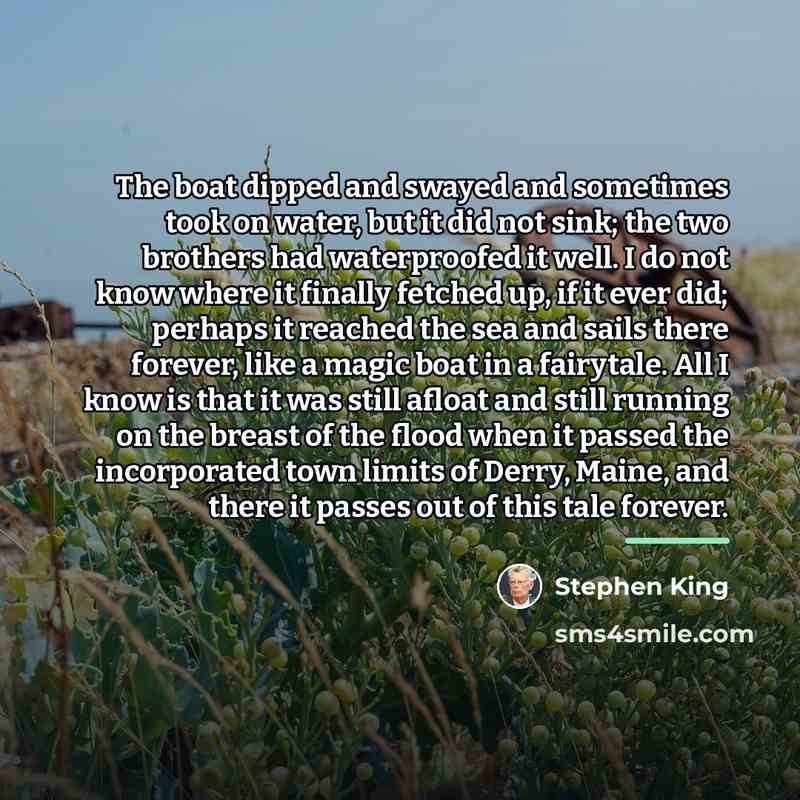 “The boat dipped and swayed and sometimes took on water,…” quote by Stephen King
