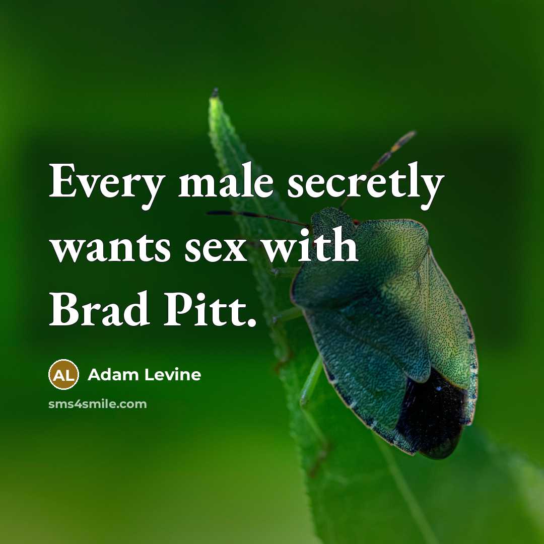 “Every male secretly wants sex with Brad Pitt.…” quote by Adam Levine