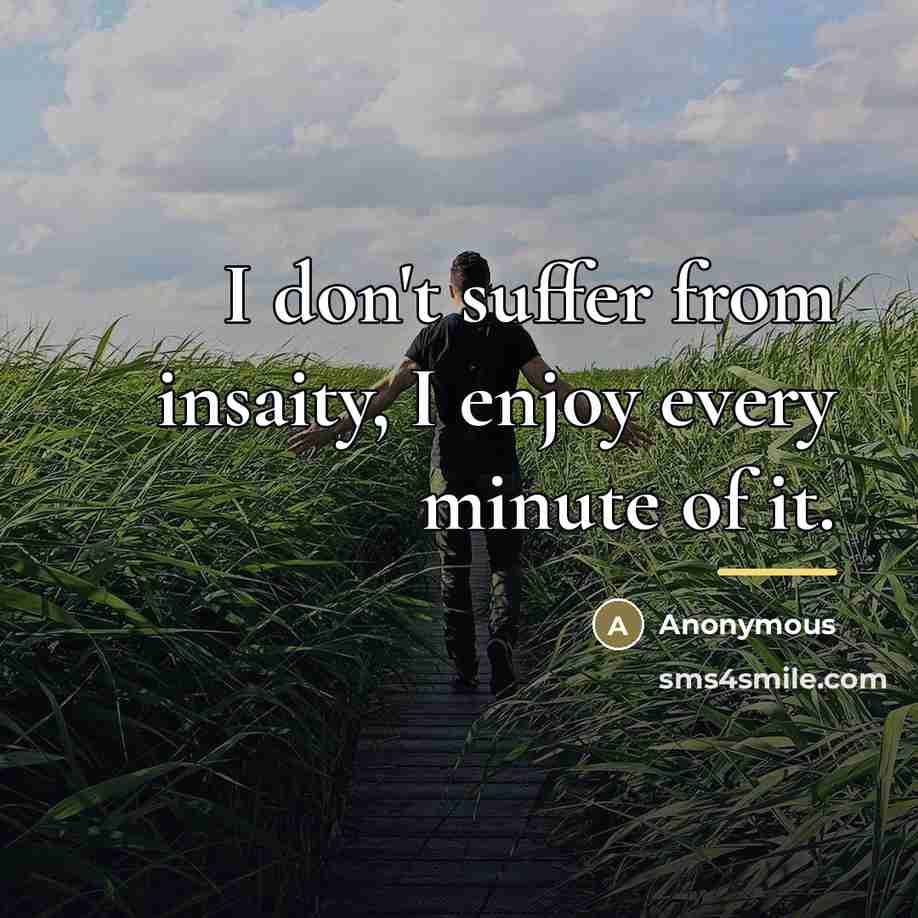 “I don't suffer from insaity, I enjoy every minute of…” quote by Anonymous