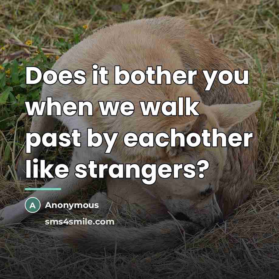 “Does it bother you when we walk past by eachother…” quote by Anonymous