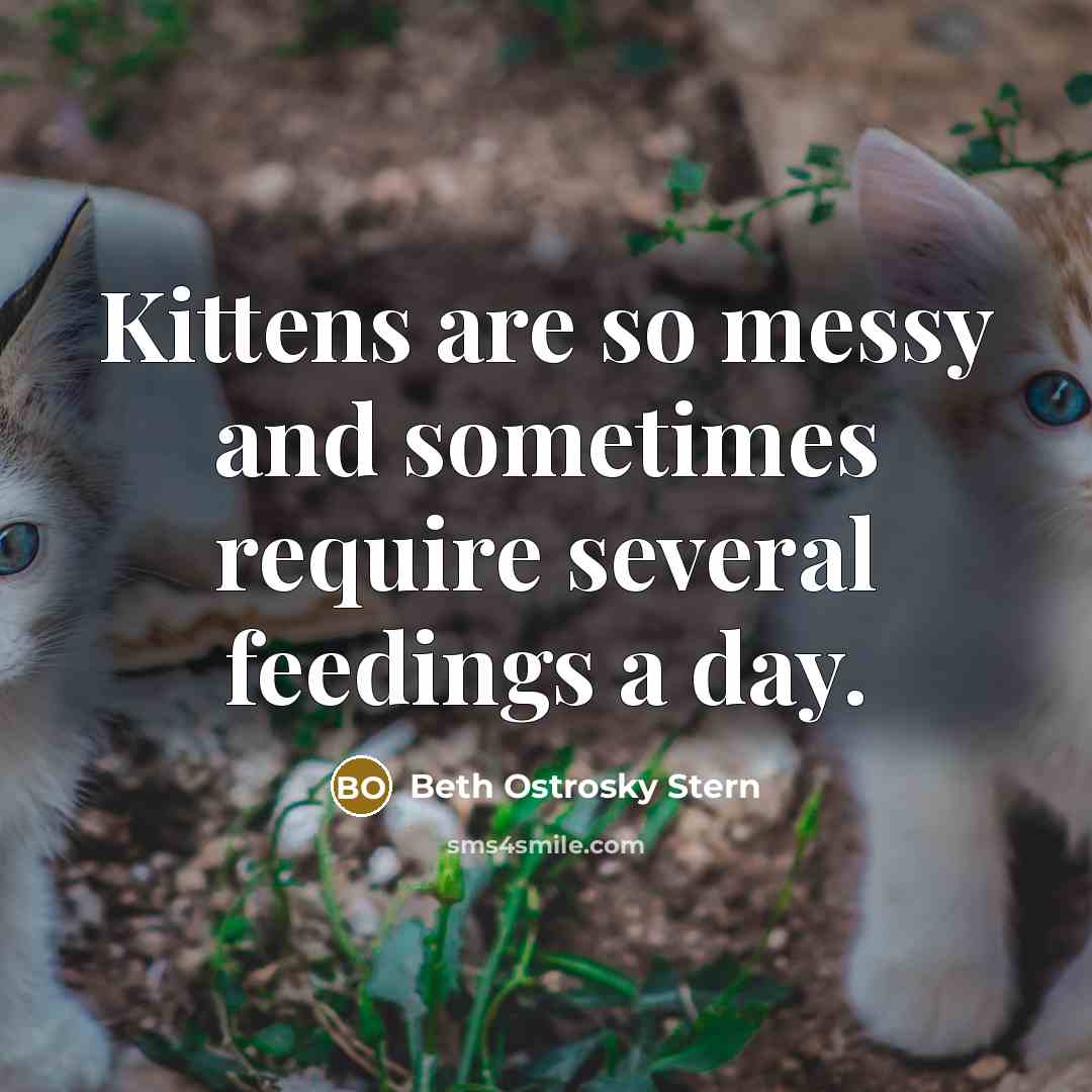 “Kittens are so messy and sometimes require several feedings a…” quote by Beth Ostrosky Stern