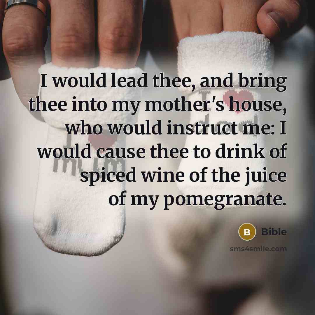 “I would lead thee, and bring thee into my mother's…” quote by Bible