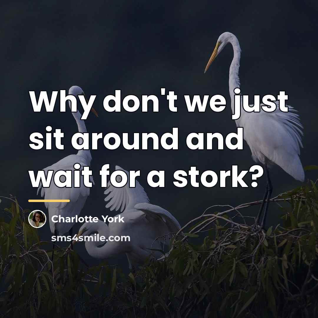 “Why don't we just sit around and wait for a…” quote by Charlotte York