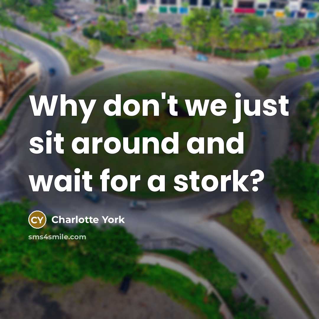 “Why don't we just sit around and wait for a stork?” quote by Charlotte York