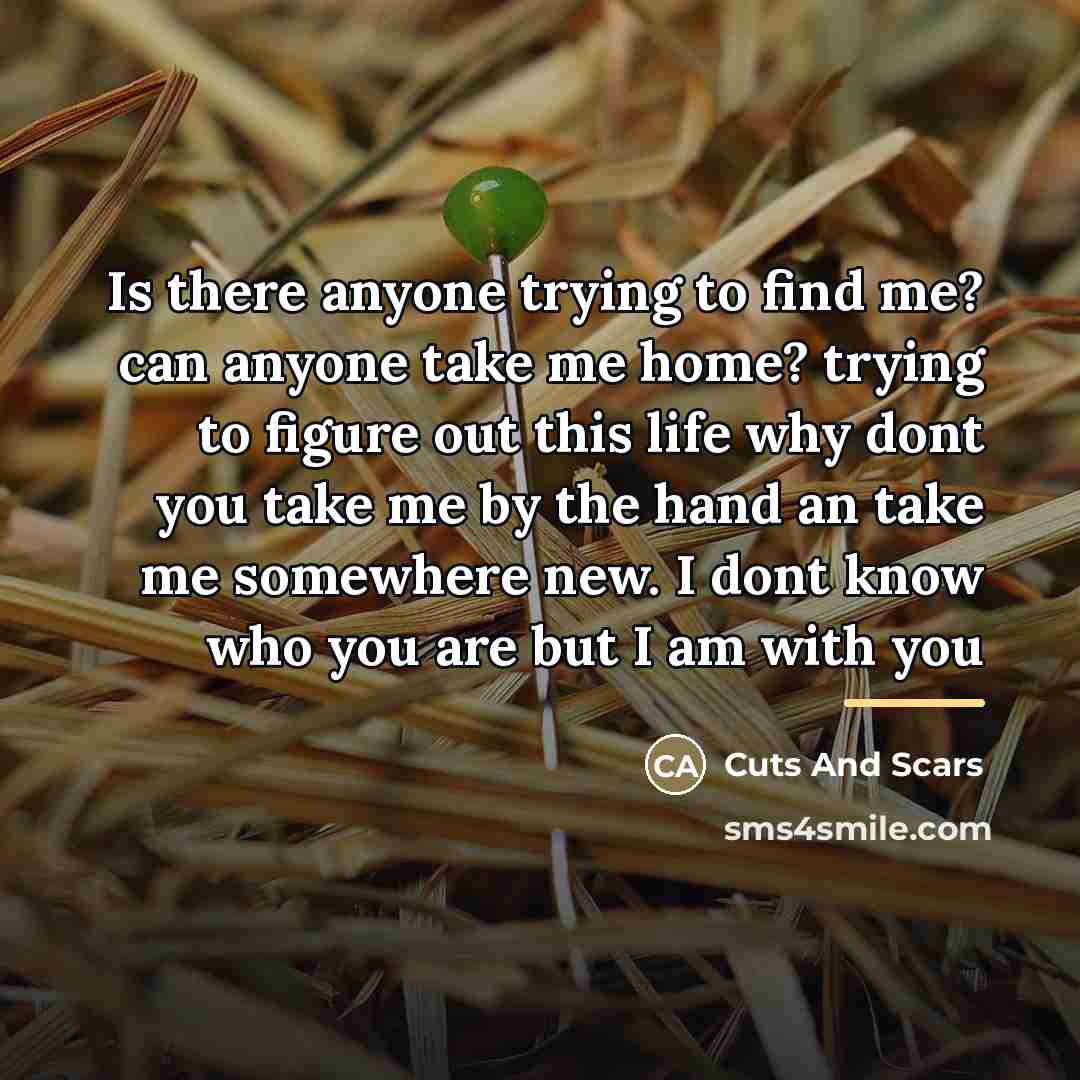 “Is there anyone trying to find me? can anyone take…” quote by Cuts And Scars