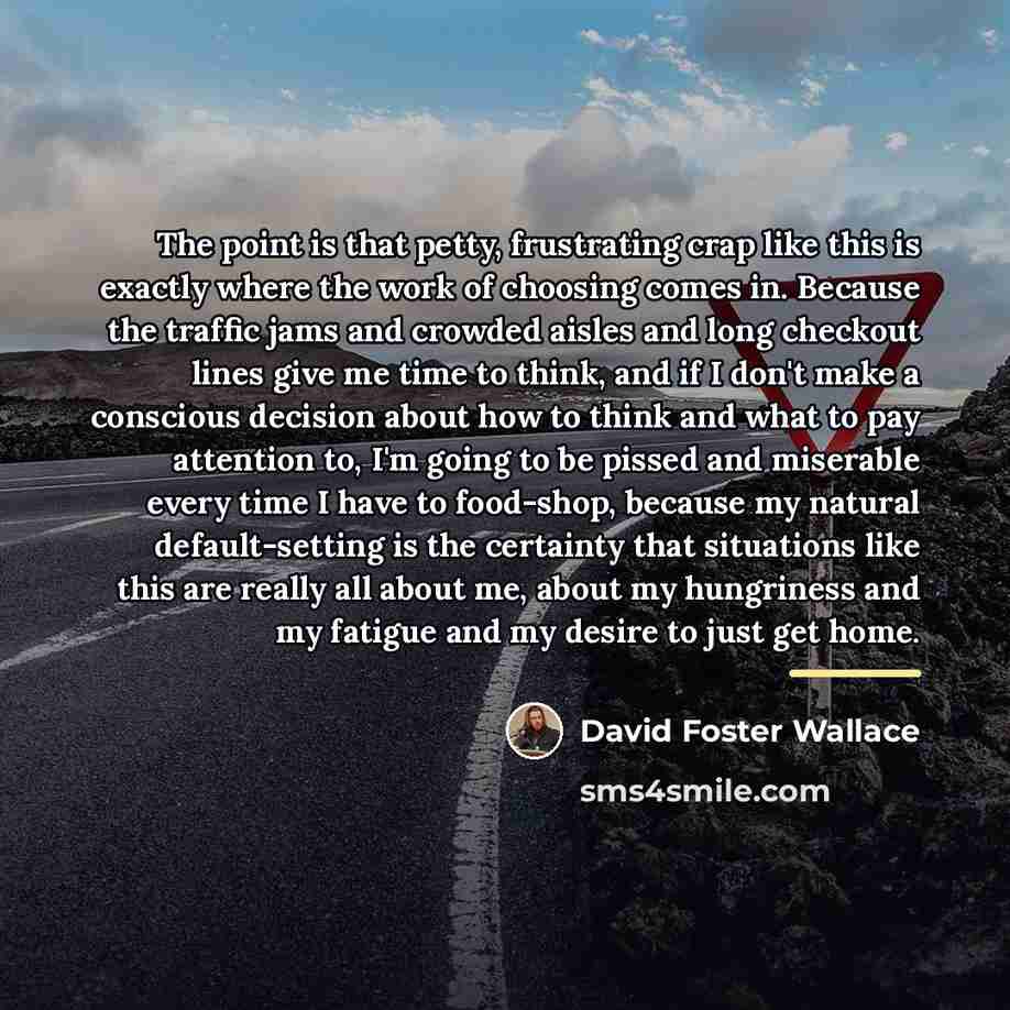 “The point is that petty, frustrating crap like this is…” quote by David Foster Wallace