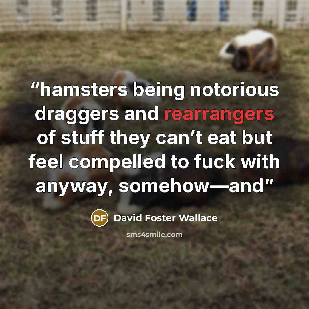 “hamsters being notorious draggers and rearrangers of stuff they can’t eat but feel compelled to fuck with anyway, somehow—and” quote by David Foster Wallace