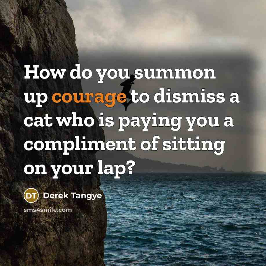 “How do you summon up courage to dismiss a cat…” quote by Derek Tangye