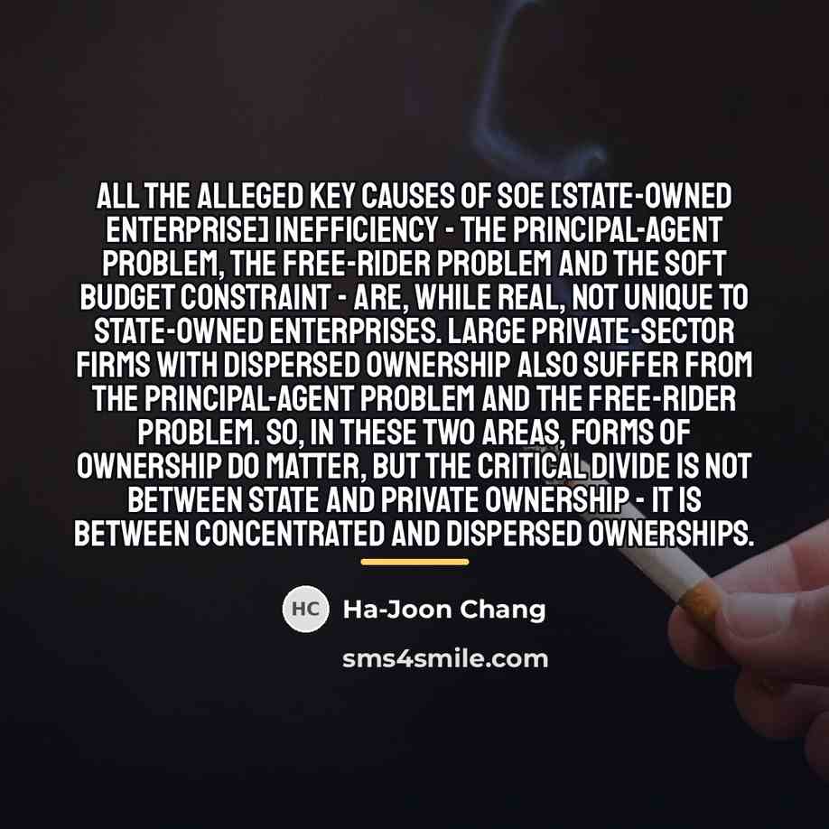 “All the alleged key causes of SOE [State-Owned Enterprise] inefficiency…” quote by Ha-Joon Chang