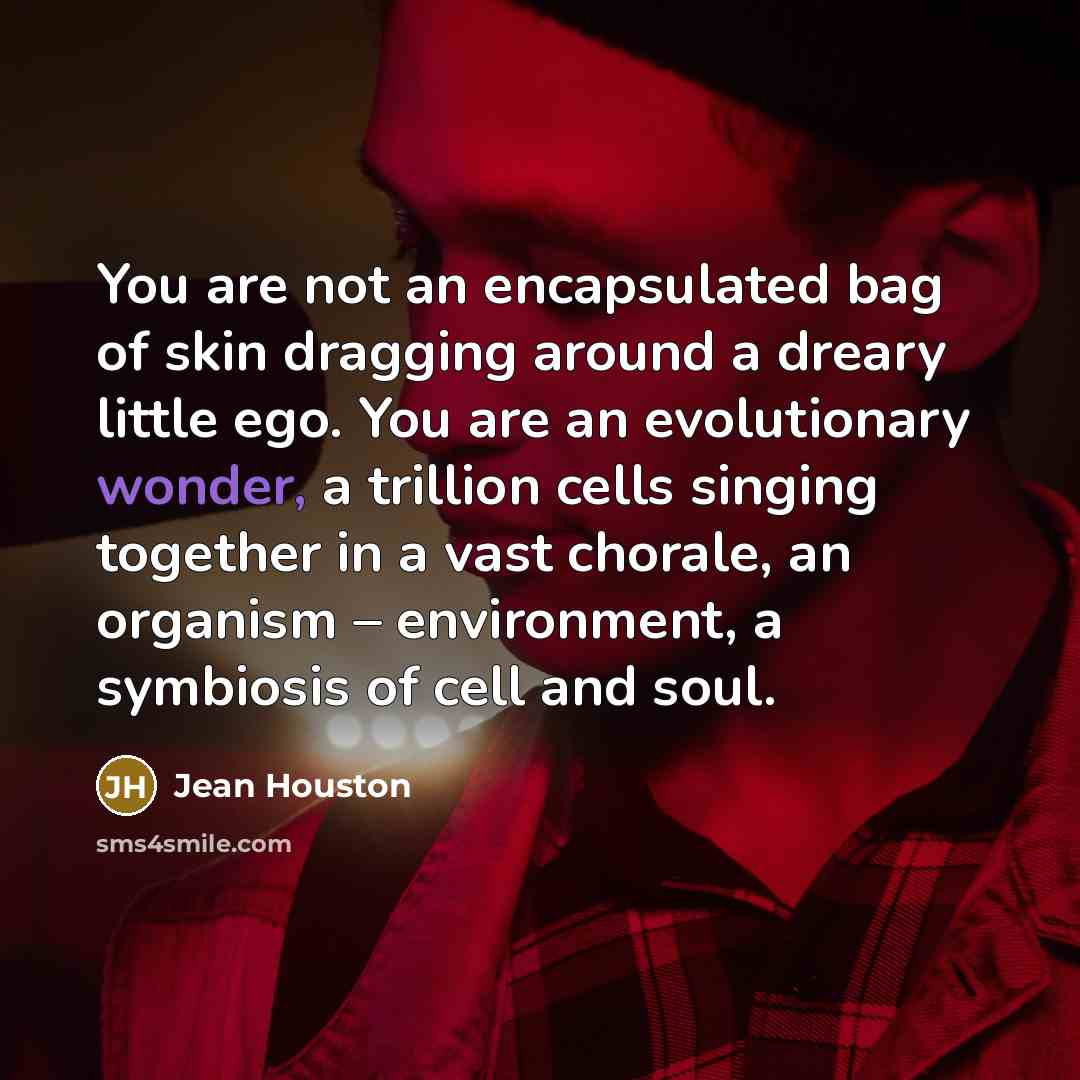 “You are not an encapsulated bag of skin dragging around…” quote by Jean Houston