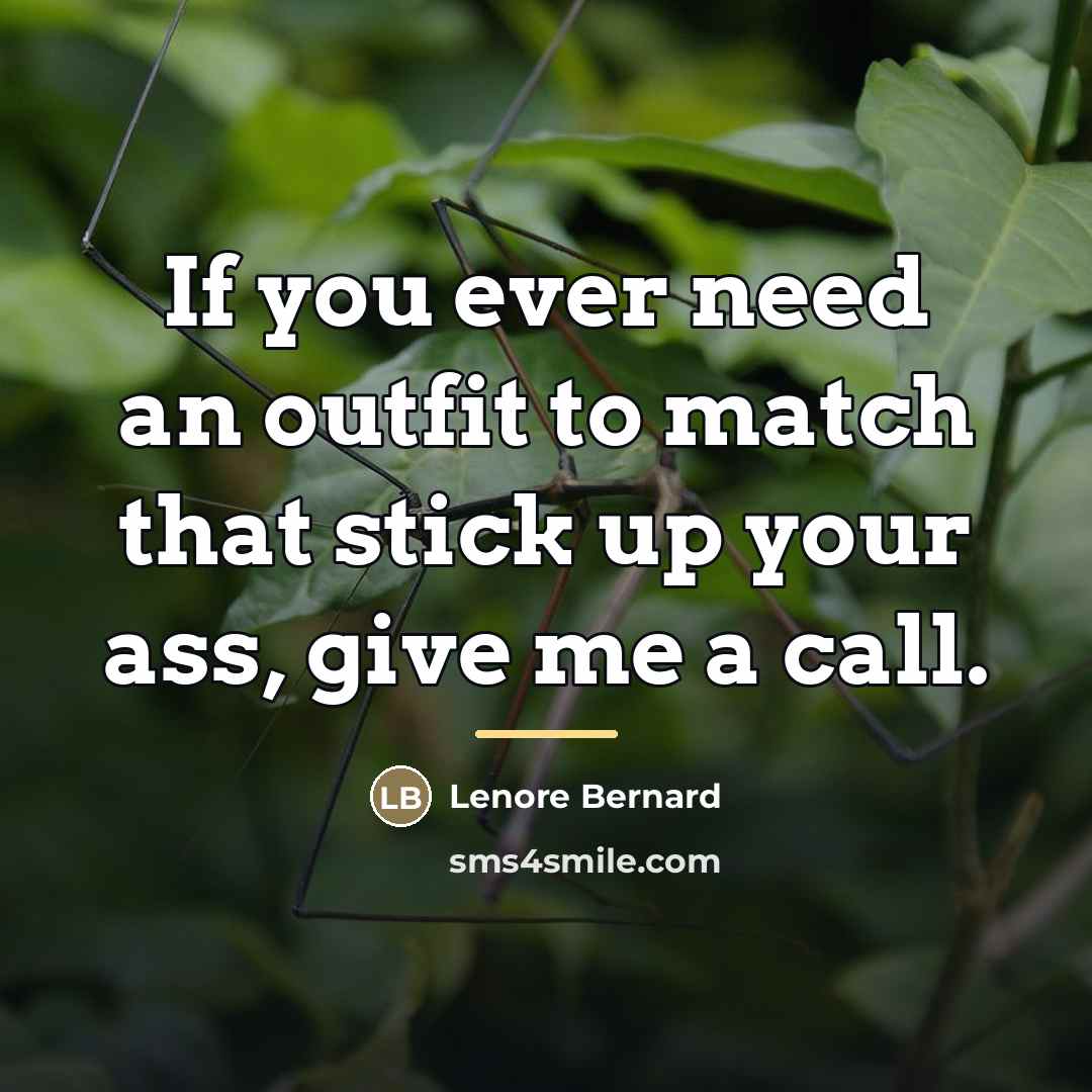 “If you ever need an outfit to match that stick…” quote by Lenore Bernard