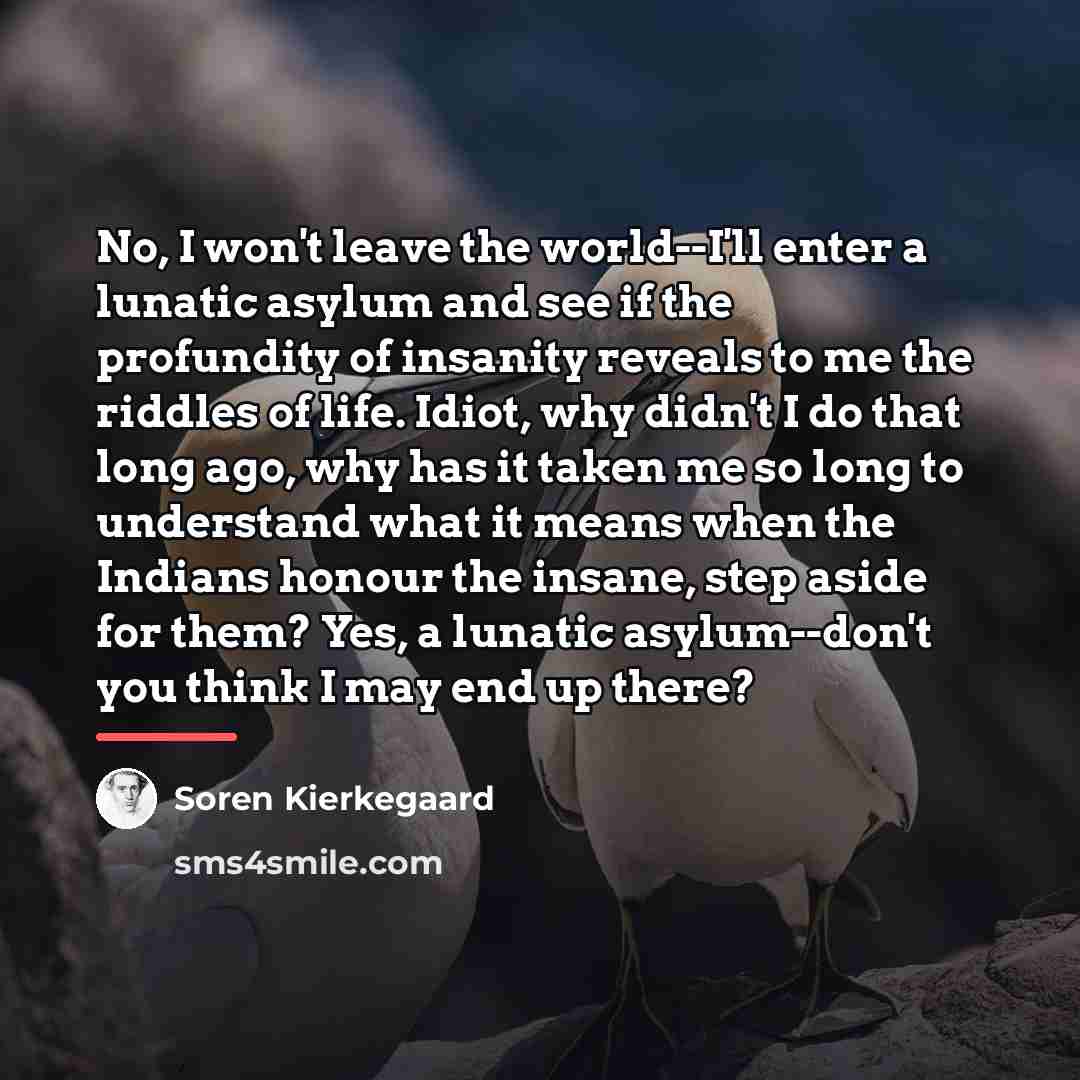 “No, I won't leave the world--I'll enter a lunatic asylum…” quote by Soren Kierkegaard
