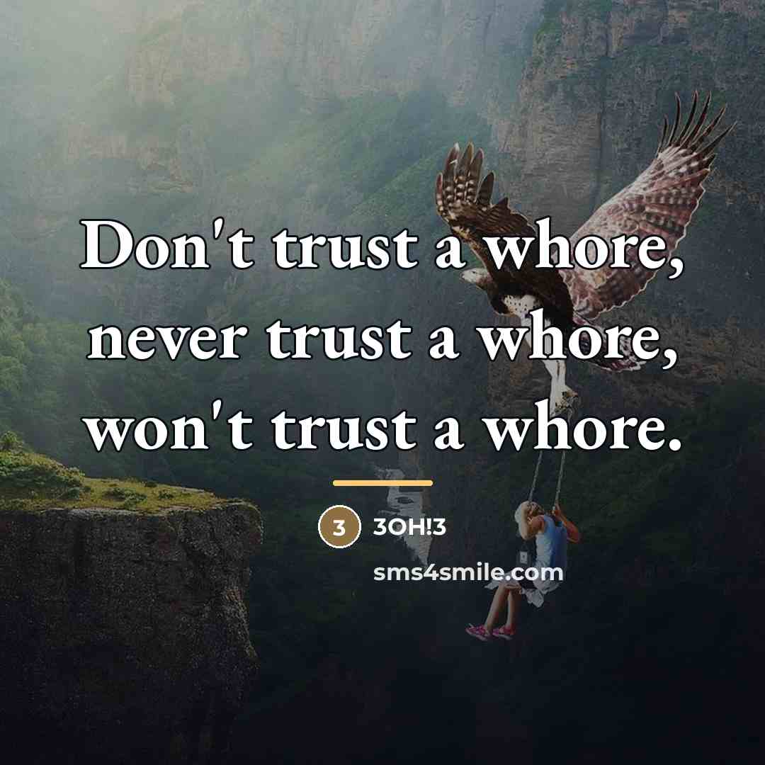 “Don't trust a whore, never trust a whore, won't trust…” quote by 3OH!3