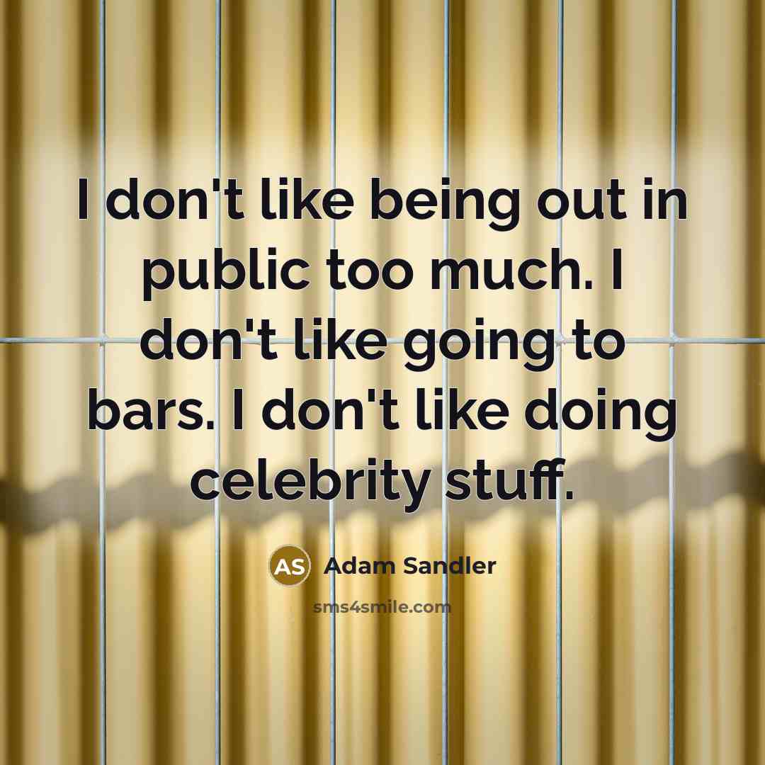 “I don't like being out in public too much. I…” quote by Adam Sandler