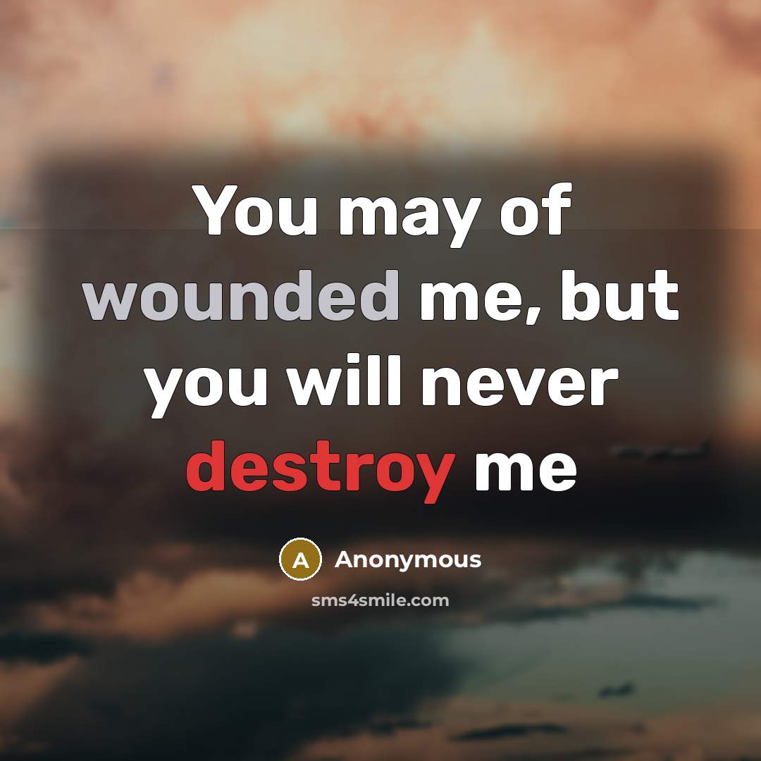 “You may of wounded me, but you will never destroy me” quote by Anonymous