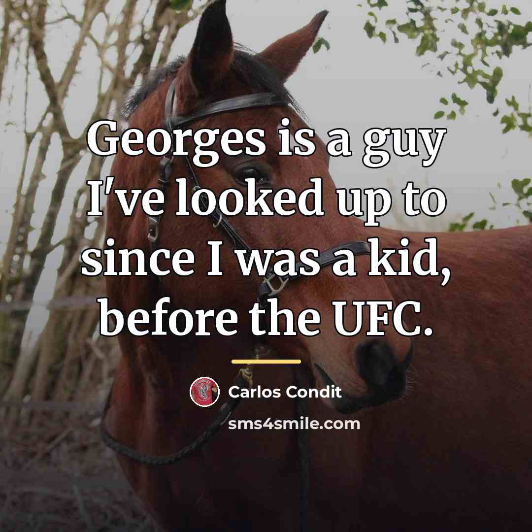 “Georges is a guy I've looked up to since I…” quote by Carlos Condit