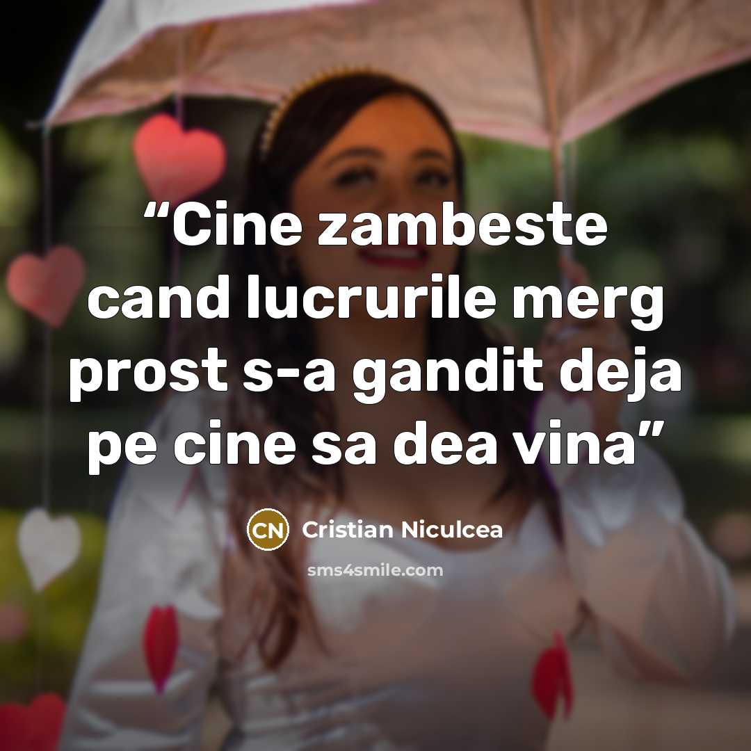 “Cine zambeste cand lucrurile merg prost s-a gandit deja pe cine sa dea vina” quote by Cristian Niculcea