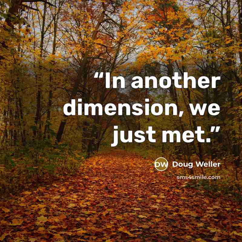 “In another dimension, we just met.” quote by Doug Weller