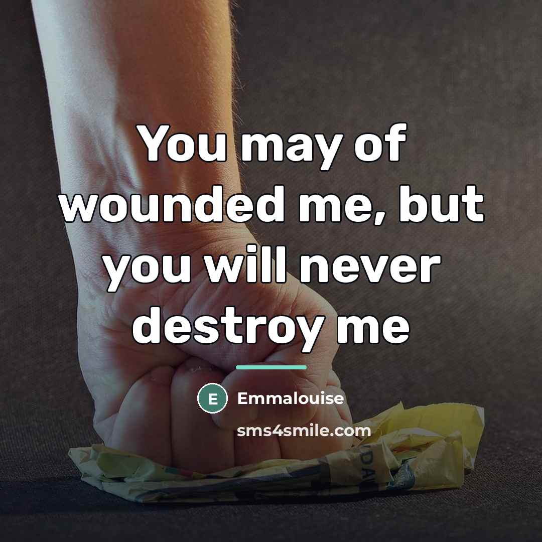 “You may of wounded me, but you will never destroy…” quote by Anonymous
