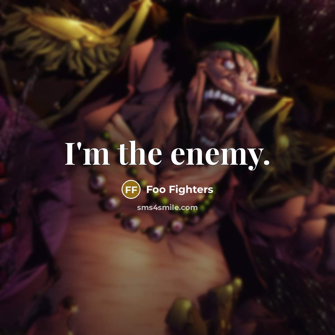 “I'm the enemy.” quote by Foo Fighters