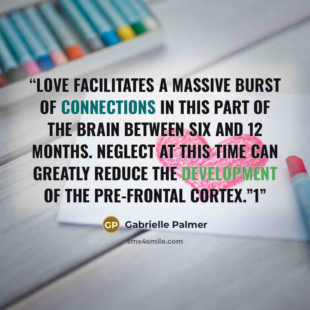 “Love facilitates a massive burst of connections in this part of the brain between six and 12 months. Neglect at this time can greatly reduce the development of the pre-frontal cortex.”1” quote by Gabrielle Palmer