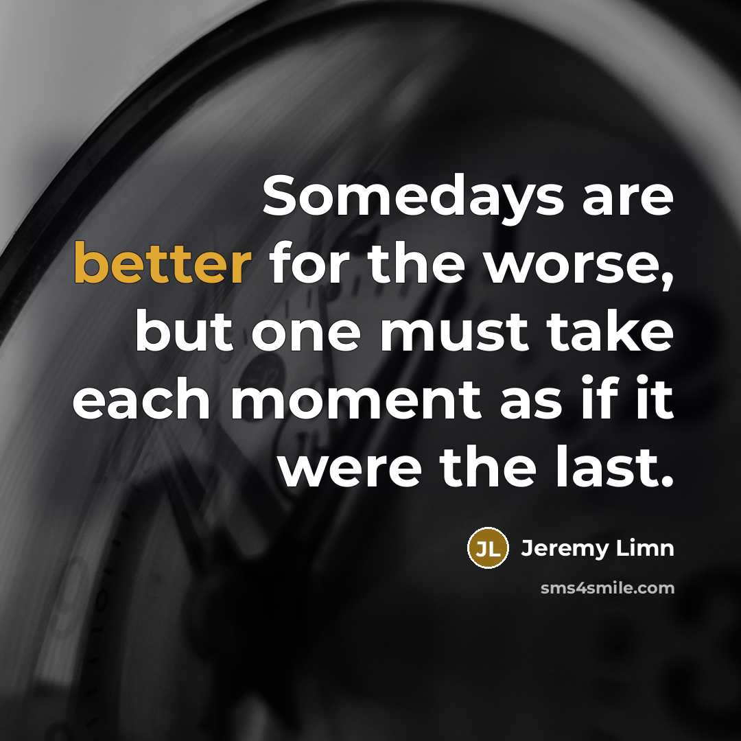 “Somedays are better for the worse, but one must take…” quote by Jeremy Limn