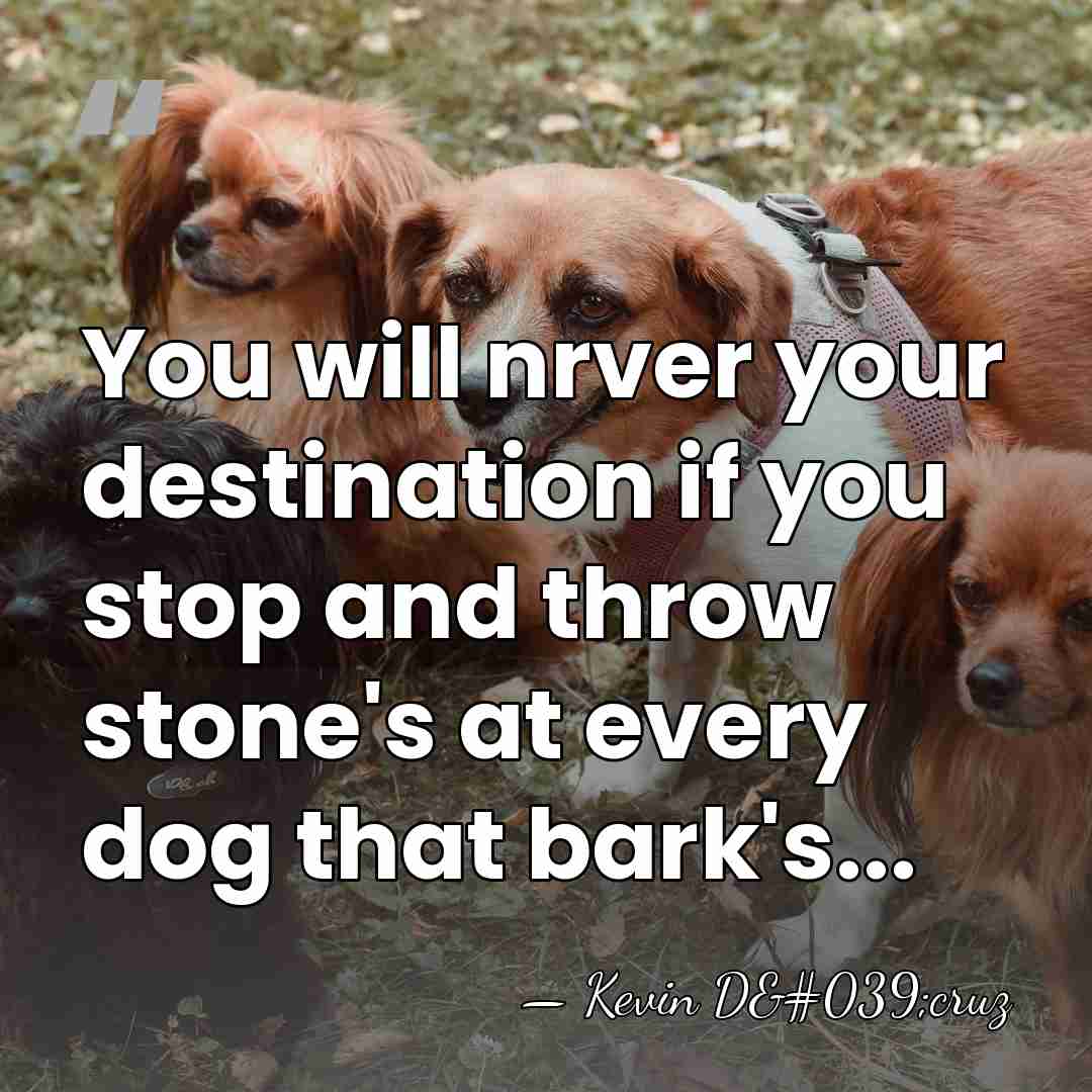 You will nrver your destination if you stop and throw stone's at&hellip; - Kevin D'cruz