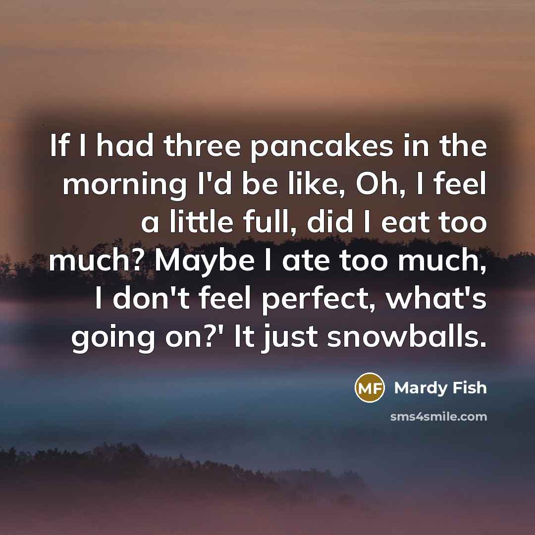 “If I had three pancakes in the morning I'd be…” quote by Mardy Fish