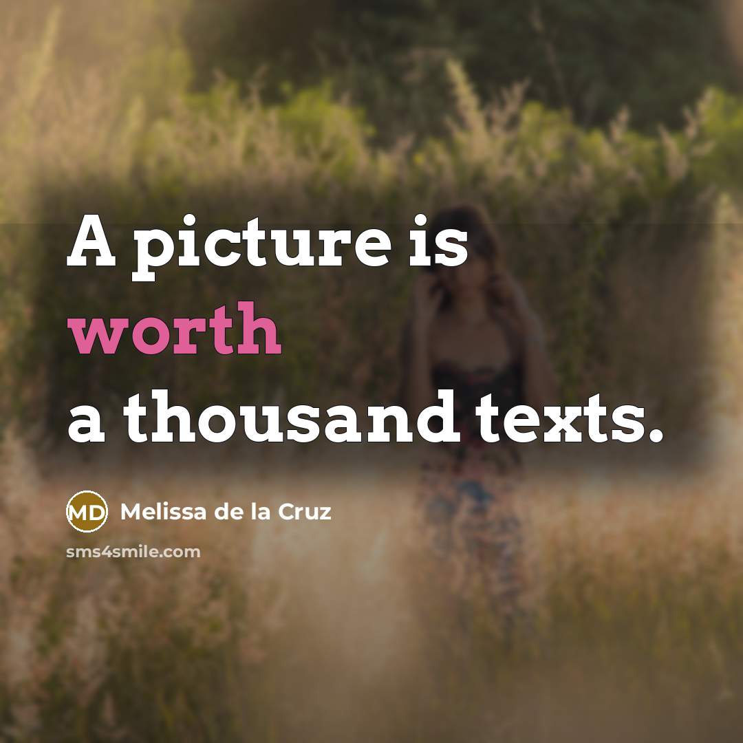 “A picture is worth a thousand texts.” quote by Melissa de la Cruz