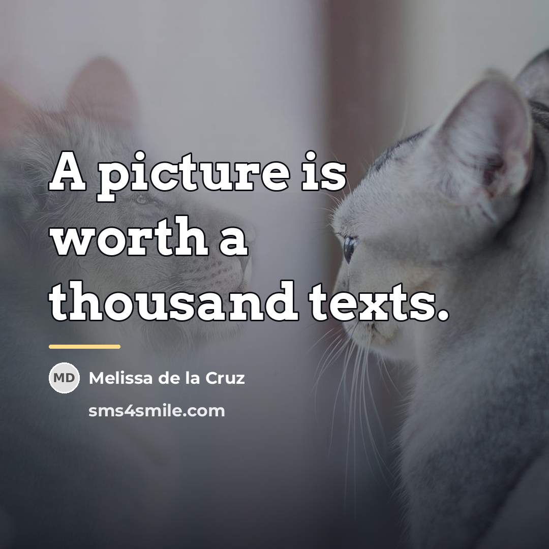 “A picture is worth a thousand texts.…” quote by Melissa de la Cruz