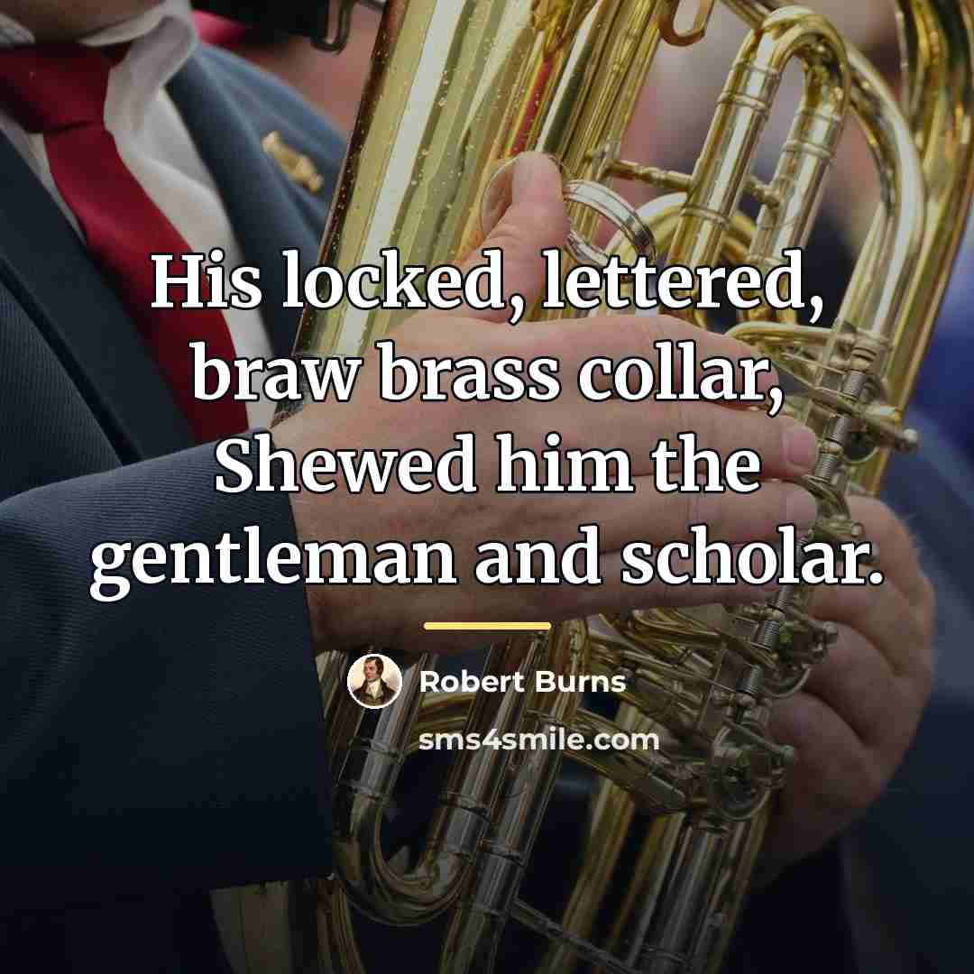 “His locked, lettered, braw brass collar, Shewed him the gentleman…” quote by Robert Burns