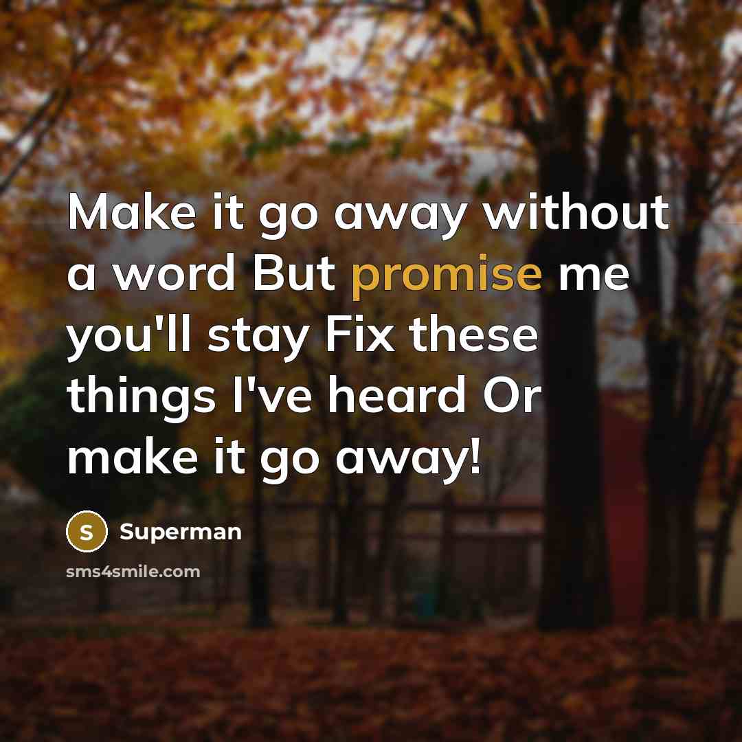 “Make it go away without a word But promise me…” quote by Superman