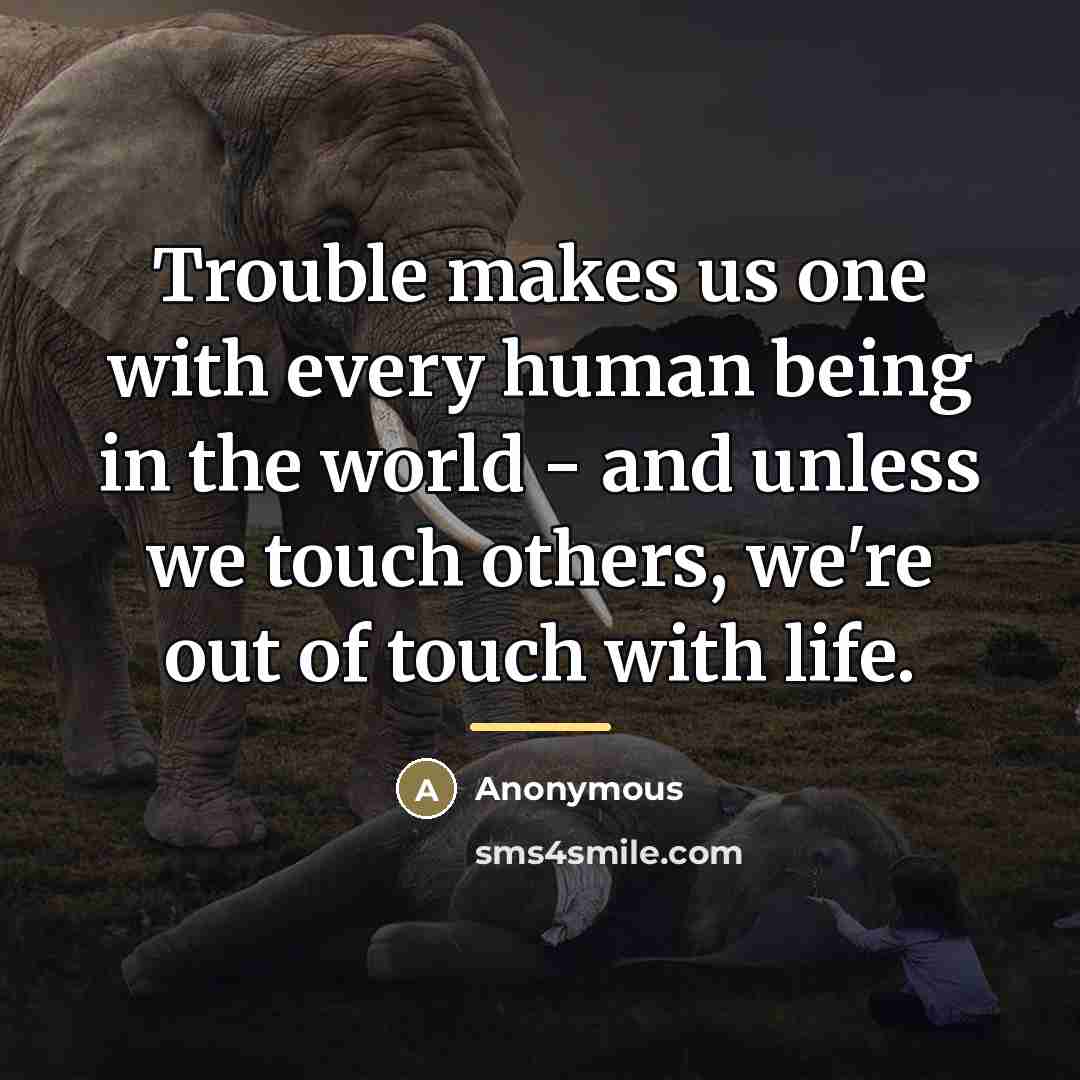 “Trouble makes us one with every human being in the…” quote by Anonymous