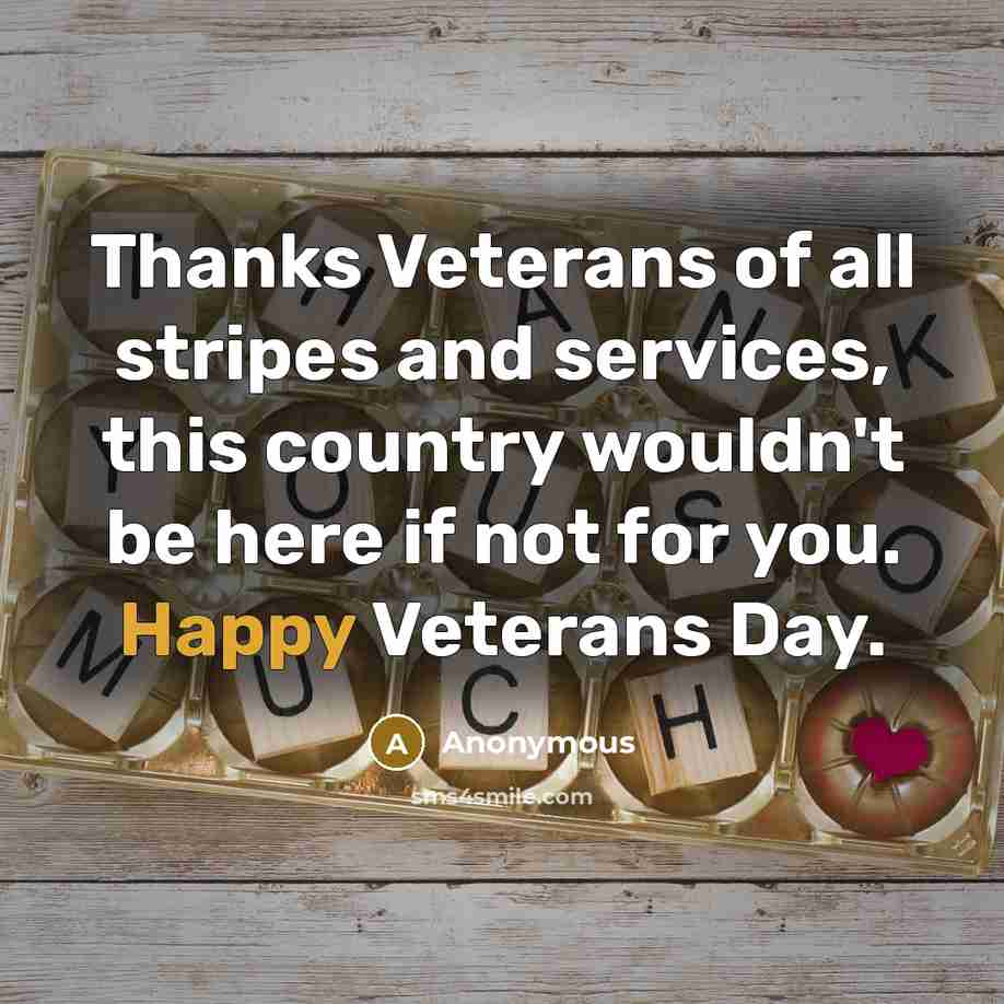 “Thanks Veterans of all stripes and services, this country wouldn't…” quote by Anonymous