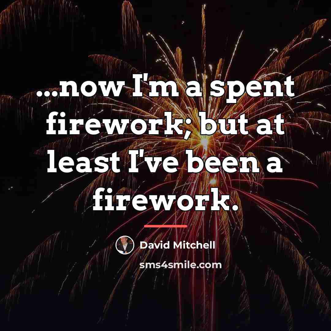 “...now I'm a spent firework; but at least I've been…” quote by David Mitchell