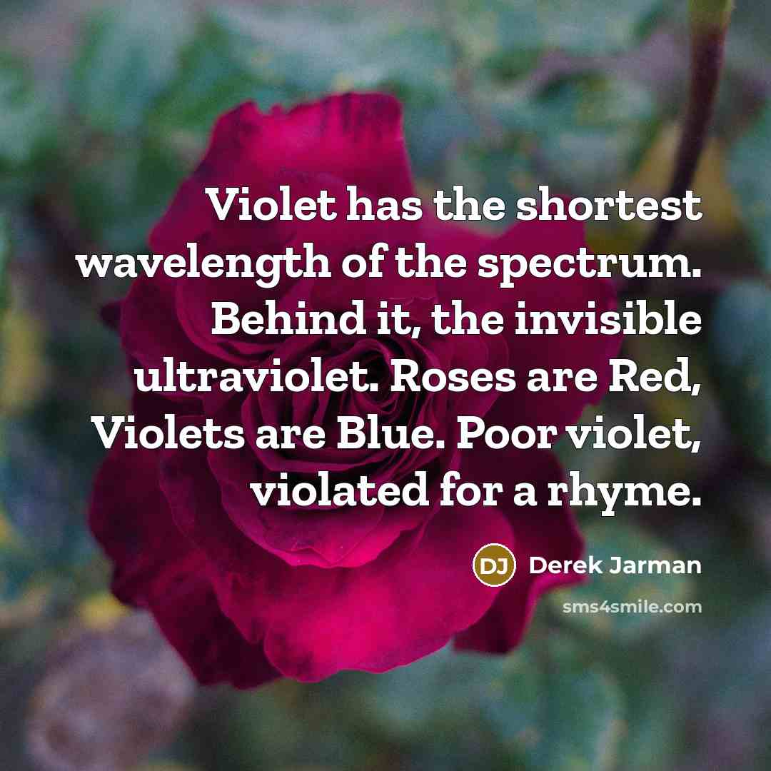 “Violet has the shortest wavelength of the spectrum. Behind it,…” quote by Derek Jarman