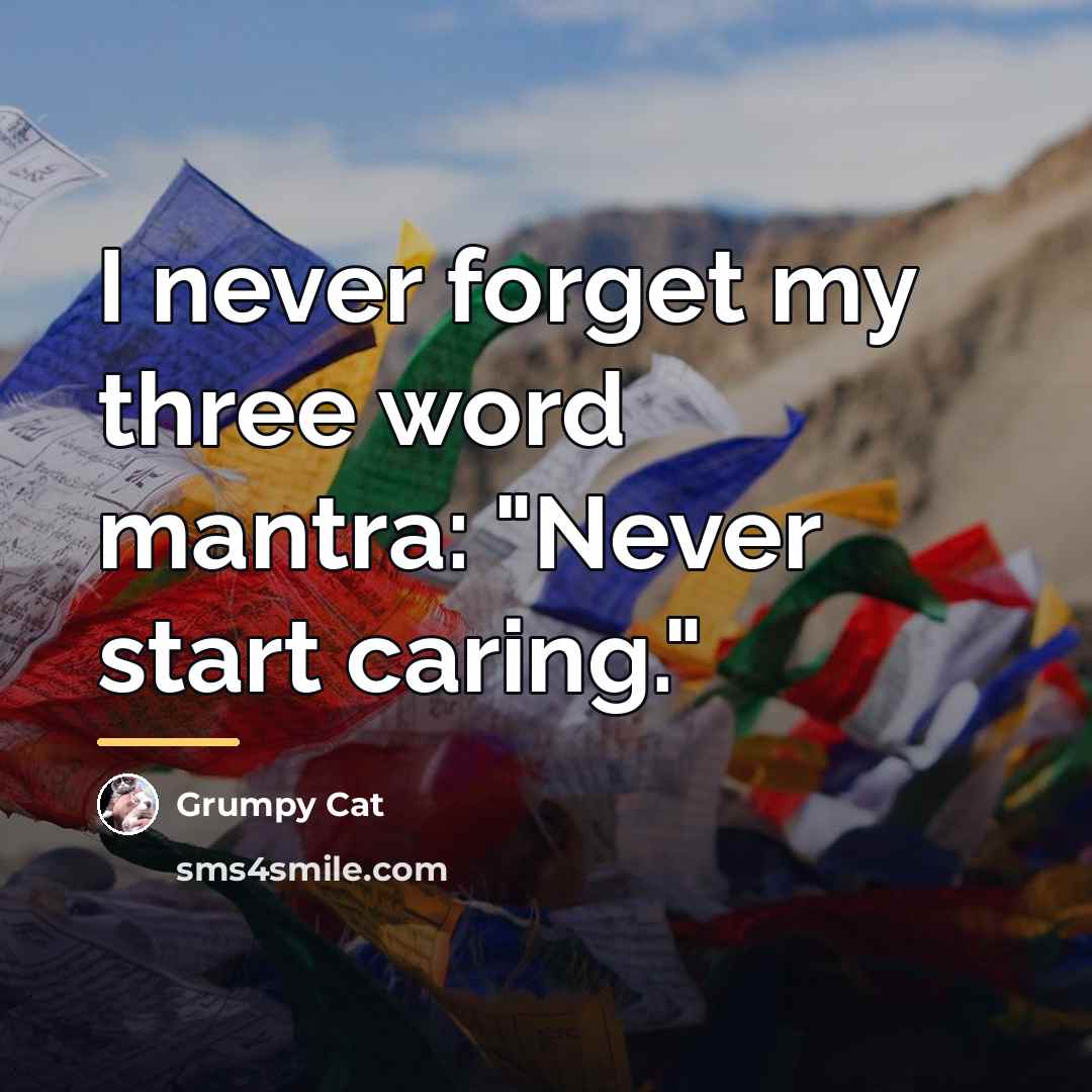 “I never forget my three word mantra: "Never start caring."…” quote by Grumpy Cat
